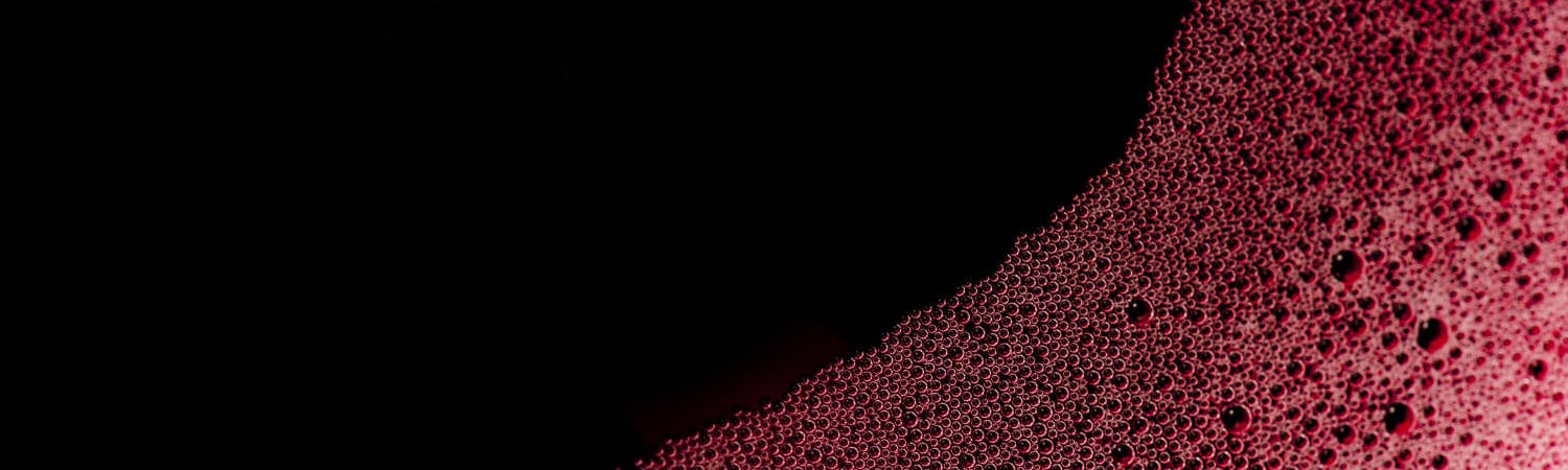 Lambrusco-Wein-vino-Header